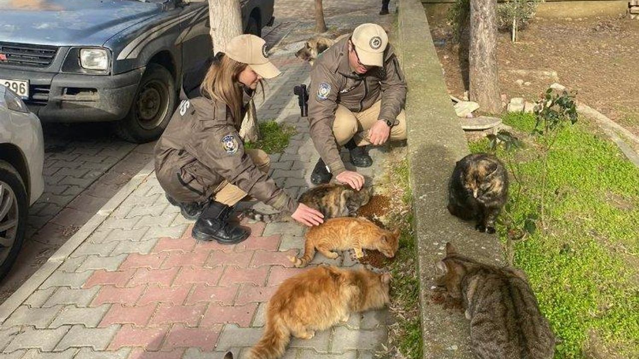 Keşan'da polis ekipleri sokak hayvanlarını besledi