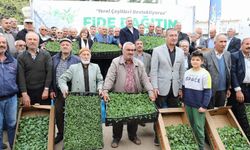 Gaziantep'te çiftçiye 'yerel ürün fide' desteği