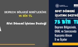 Deprem Bölgesindeki KOBİ’lere 75 Bin TL Destek