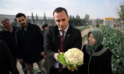 Bornova Kent Bostanı kadınların elinde yeşerdi