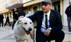 Başkan Eşki barınakta kalan Paşa isimli köpeği sahiplendi.