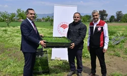 17 bin fide üreticilere teslim edildi