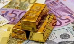 Aylıkta en yüksek reel getiri Euro'da oldu