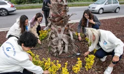 İzmir Güzelbahçe'de ‘imeceye’ devam