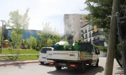 Ankara Keçiören'de ilaçlama çalışmaları hızlandı