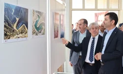 Denizli Büyükşehir ve LAFOT'tan ortak sergi: Su Hikâyeleri