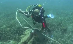 İzmir'de deniz dibinden 1,5 ton ağ çıkarıldı!