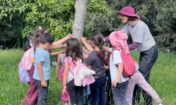 İzmirli çocuklar ormanı keşfetti
