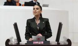 Milletvekili Özcan'dan sokak hayvanları için Bakan Yumaklı’ya önerge