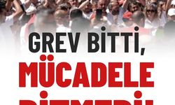 Grev bitti!