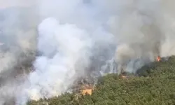 İzmir Bergama’da  ve Uşak'ta yangınlara müdahale sürüyor
