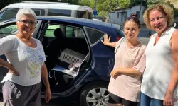 İzmir Narlıdere'de minik dostlar için seferberlik