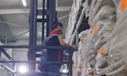 Bin ton süt ürününe el konuldu!
