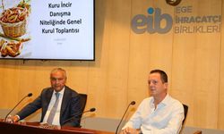 Kuru incir ihracatı 350 milyon doları aştı