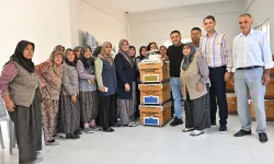 Manisa Kırkağaçlı kadınlara kovan desteği