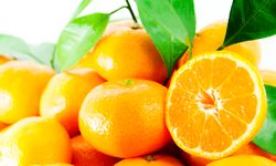 Satsuma mandalinanın ihracat yolculuğu 17 Ekim’de başlıyor