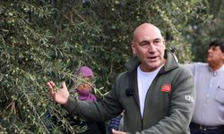 Alhat “Kıracaksan Zeytin Kır, Kalp Kırma”