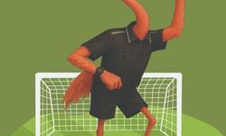 Avni Erboy’dan 5. Kitap: Flamingo’dan hakem olur mu?