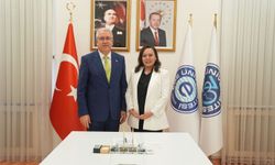 Antikanser bileşenin sentezlenmesine yönelik buluşa Uluslararası Patent