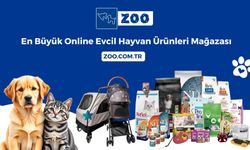 Kediniz İçin Özenle Seçilmiş Kedi Maması Çeşitleri