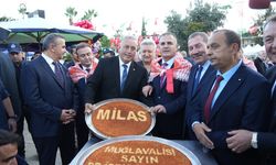 Milas’ta Zeytinin Bereketi 11. Kez Şenlikle Taçlandı