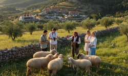 Yılmaz; "Deniz-Kum ile 12 Ay Turizm Olmaz, İmar Süreçleri Hızlanmalı"