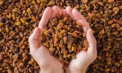 Türkiye, dünya kuru üzüm ihracatının yüzde 30’unu tek başına yapacak