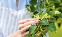 Ege Bölgesi’nin ihracatı kasım ayında yüzde 7,3 azaldı