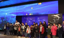 İstanbul'da Maltepeli çocuklar su altı dünyasını keşfetti