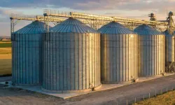 TMO'dan piyasaya müdahale! Şubat'ta 3,9 milyon ton hububat satışta