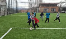 Bursa Büyükorhan'daki halı saha sil baştan yenilendi