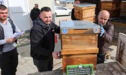 Bursa Büyükşehir'den kırsal üretime kovan desteği