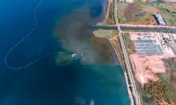 İzmit Körfezi'nde deniz temizleniyor, ekosistem güçleniyor