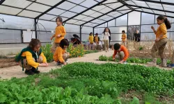 Konya Karatay'da çocuklara doğa ve yaşam atölyeleri