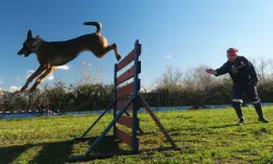 Sakarya'da Reina, Ateş, Google ve Labrador en zor anda 'umut' olmaya hazır kıta