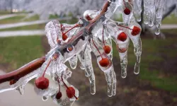Uzmanlar uyarıyor: Meyve bahçelerinde don riski için mikro-sprinkler çözümleri öne çıkıyor