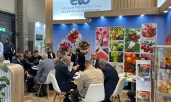 Yaş meyve sebze sektöründen Almanya'ya çıkarma