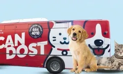 Balıkesir'de patili canlara mobil sağlık hizmeti