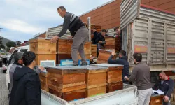 Bursa'da arıcılık Büyükşehir'le canlandı