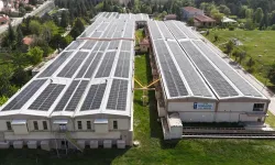 854 ton karbon salınımı önlenerek 34 bin ağaç korundu