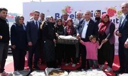 Adana Büyükşehir'den Pozantı'ya 900 bin çilek fidesi desteği