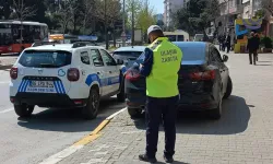 Balıkesir'de usulsüz parka sıkı denetim