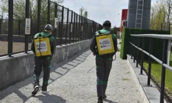 Başkent'te haşereyle etkin mücadele