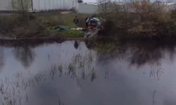 Bursa'da sulak alanlarda gümeler imha edildi