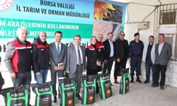 Bursa'nın üç ilçesinde ayçiçeği üretimine güçlü destek