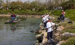 Çakalburnu Lagünü'nden Körfez'e yayılan yosunlara yoğun müdahale