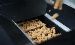 Eskişehir'de atık yemekler mama oluyor