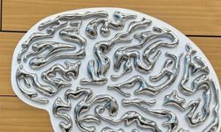 Beyin ve omurga hastalıkları çok geniş bir yelpazeye sahiptir.