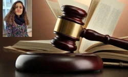 Gülistan Doku dosyası Kurtlar Vadisi gibi