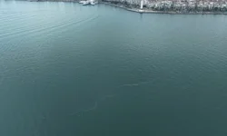 İzmir Körfezi'nde dış kaynaklı kirliliğin önüne geçilemiyor